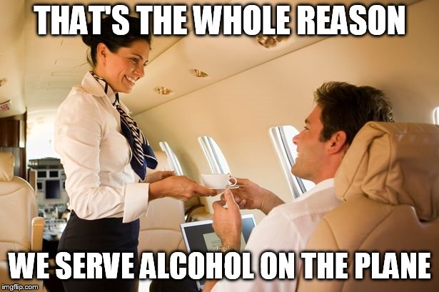 stewardess | THAT'S THE WHOLE REASON WE SERVE ALCOHOL ON THE PLANE | image tagged in stewardess | made w/ Imgflip meme maker