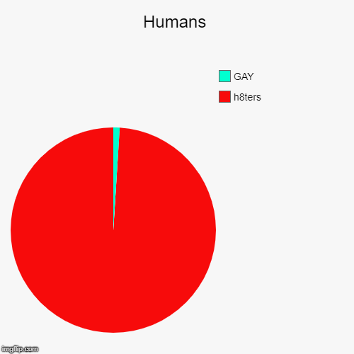 Humans | h8ters, GAY | image tagged in funny,pie charts | made w/ Imgflip chart maker