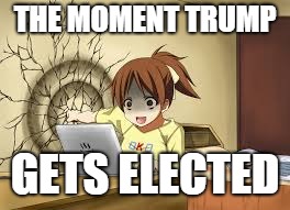 Anime girl punches the wall | THE MOMENT TRUMP; GETS ELECTED | image tagged in anime girl punches the wall | made w/ Imgflip meme maker