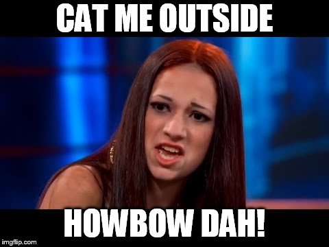 Catch me Outside | CAT ME OUTSIDE; HOWBOW DAH! | image tagged in catch me outside | made w/ Imgflip meme maker