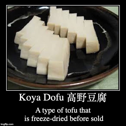 Koya Dofu | image tagged in demotivationals,tofu | made w/ Imgflip demotivational maker