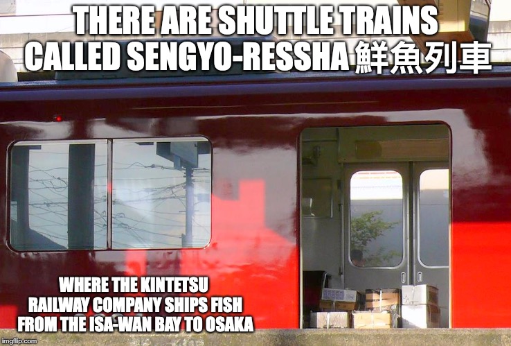 Sengyo Ressha | THERE ARE SHUTTLE TRAINS CALLED SENGYO-RESSHA 鮮魚列車; WHERE THE KINTETSU RAILWAY COMPANY SHIPS FISH FROM THE ISA-WAN BAY TO OSAKA | image tagged in train,memes,fish,japan | made w/ Imgflip meme maker