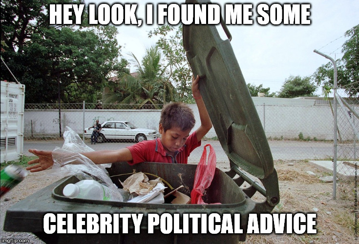 HEY LOOK, I FOUND ME SOME; CELEBRITY POLITICAL ADVICE | image tagged in garbage can | made w/ Imgflip meme maker