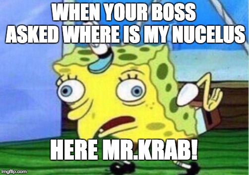 Mocking Spongebob | WHEN YOUR BOSS ASKED WHERE IS MY NUCELUS; HERE MR.KRAB! | image tagged in memes,mocking spongebob | made w/ Imgflip meme maker