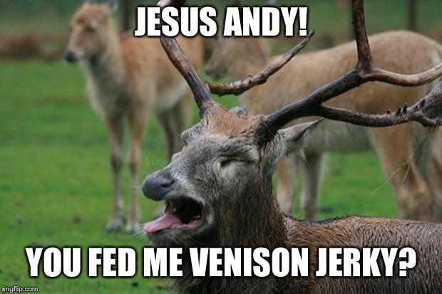 disgusted deer | JESUS ANDY! YOU FED ME VENISON JERKY? | image tagged in disgusted deer | made w/ Imgflip meme maker
