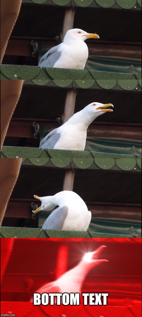 Inhaling Seagull | BOTTOM TEXT | image tagged in memes,inhaling seagull | made w/ Imgflip meme maker