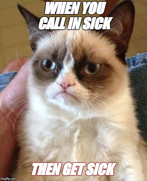 Grumpy Cat Meme | WHEN YOU CALL IN SICK; THEN GET SICK | image tagged in memes,grumpy cat | made w/ Imgflip meme maker