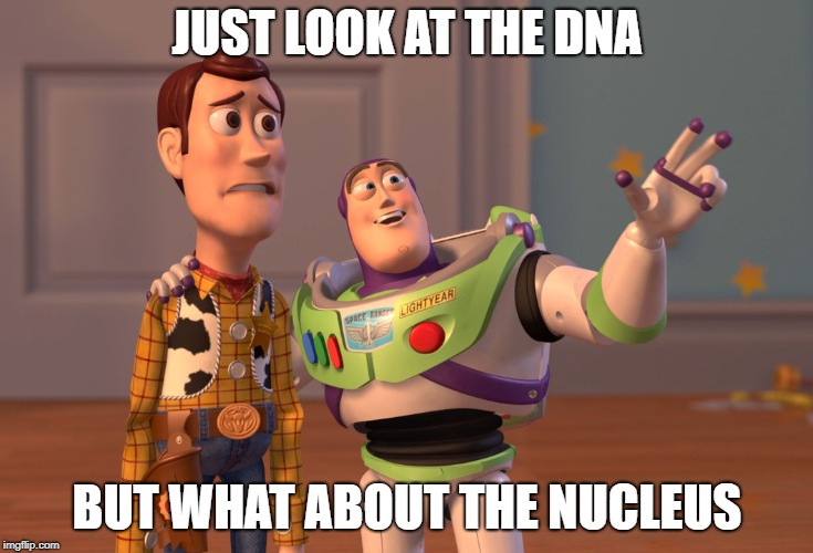 X, X Everywhere Meme | JUST LOOK AT THE DNA; BUT WHAT ABOUT THE NUCLEUS | image tagged in memes,x x everywhere | made w/ Imgflip meme maker