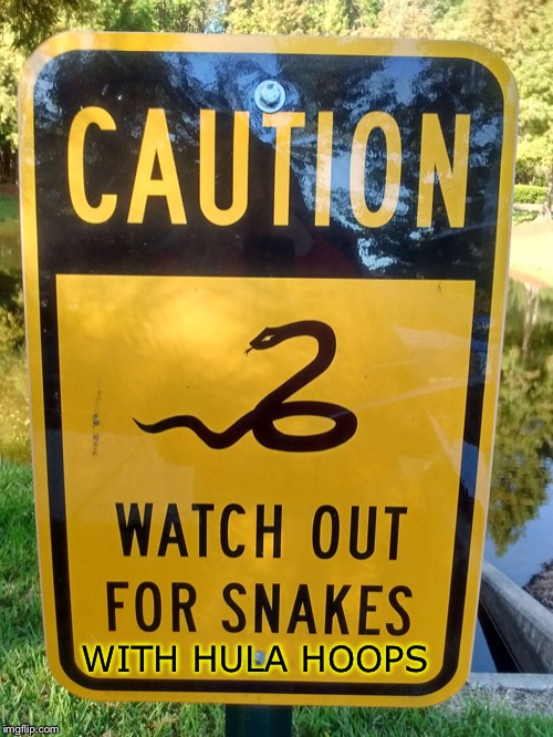 SNAKE WARNING | WITH HULA HOOPS | image tagged in snake warning | made w/ Imgflip meme maker