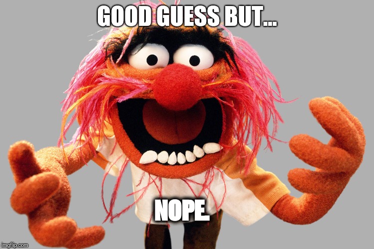 animal muppets | GOOD GUESS BUT... NOPE. | image tagged in animal muppets | made w/ Imgflip meme maker