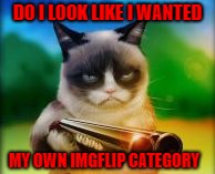 Grumpy Cat does not approve!!! | DO I LOOK LIKE I WANTED; MY OWN IMGFLIP CATEGORY | image tagged in grumpy cat shotgun,memes,grumpy cat,funny,new cats category,cats | made w/ Imgflip meme maker
