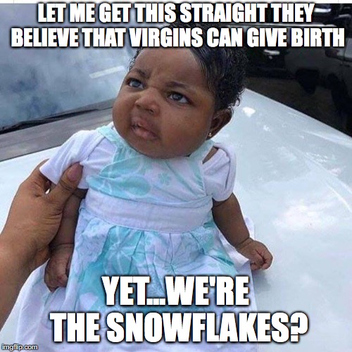 Virgins giving birth yet we're the snowflakes? | LET ME GET THIS STRAIGHT THEY BELIEVE THAT VIRGINS CAN GIVE BIRTH; YET...WE'RE THE SNOWFLAKES? | image tagged in nevertrump | made w/ Imgflip meme maker