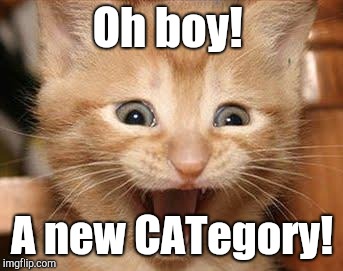 Sorry, I had to! | Oh boy! A new CATegory! | image tagged in memes,excited cat,corny joke | made w/ Imgflip meme maker