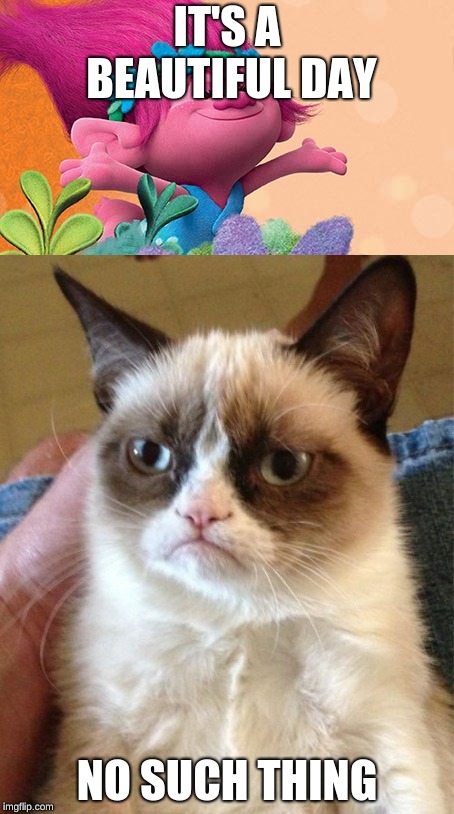 Grumpy cat | IT'S A BEAUTIFUL DAY; NO SUCH THING | image tagged in grumpy cat | made w/ Imgflip meme maker