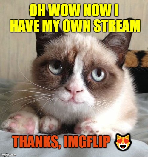 Grumpy cat is actually pleased! ≧^◡^≦ | OH WOW NOW I HAVE MY OWN STREAM; THANKS, IMGFLIP 😻 | image tagged in smiling grumpy cat,cats,cats stream,grumpy cat,stream | made w/ Imgflip meme maker