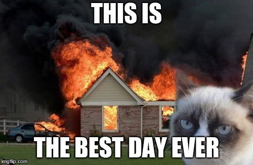 grumpy cat's best day |  THIS IS; THE BEST DAY EVER | image tagged in memes,burn kitty,grumpy cat | made w/ Imgflip meme maker