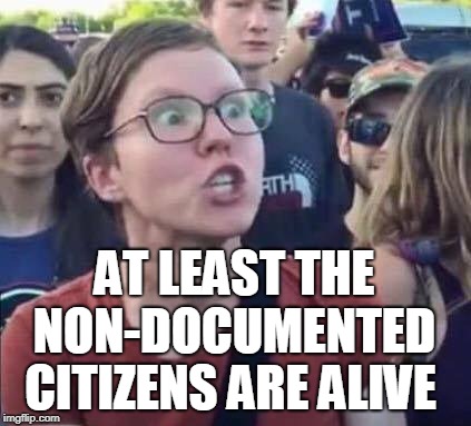 Angry Liberal | AT LEAST THE NON-DOCUMENTED CITIZENS ARE ALIVE | image tagged in angry liberal | made w/ Imgflip meme maker