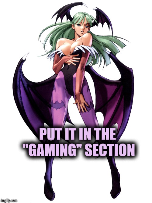 PUT IT IN THE "GAMING" SECTION | image tagged in morrigan | made w/ Imgflip meme maker