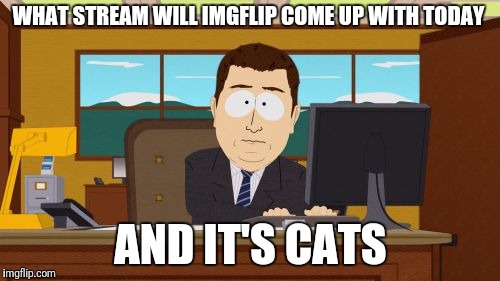 Aaaaand Its Gone | WHAT STREAM WILL IMGFLIP COME UP WITH TODAY; AND IT'S CATS | image tagged in memes,aaaaand its gone | made w/ Imgflip meme maker