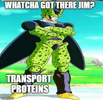 cell wall | WHATCHA GOT THERE JIM? TRANSPORT PROTEINS | image tagged in cells | made w/ Imgflip meme maker