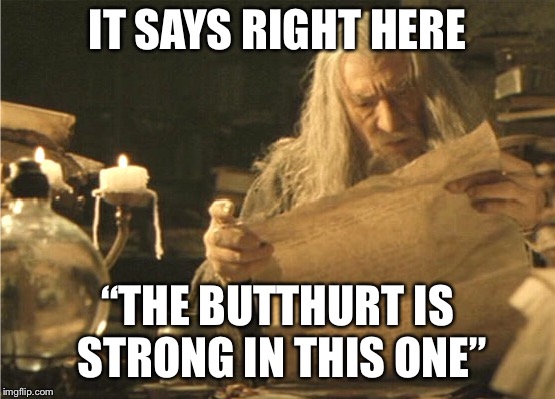 IT SAYS RIGHT HERE; “THE BUTTHURT IS STRONG IN THIS ONE” | image tagged in butthurt | made w/ Imgflip meme maker