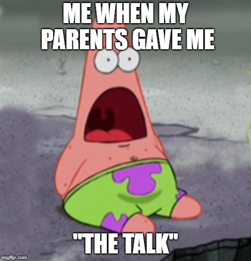 the talk | ME WHEN MY PARENTS GAVE ME; "THE TALK" | image tagged in patrick star | made w/ Imgflip meme maker