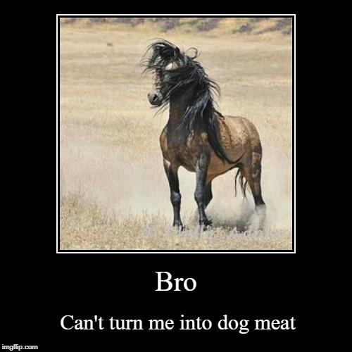 Can't touch this | image tagged in funny,demotivationals,horse,mustang,bro,meat | made w/ Imgflip demotivational maker