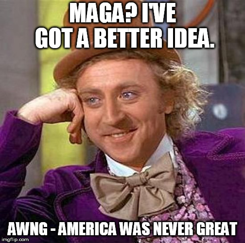 Creepy Condescending Wonka Meme | MAGA? I'VE GOT A BETTER IDEA. AWNG - AMERICA WAS NEVER GREAT | image tagged in memes,creepy condescending wonka | made w/ Imgflip meme maker