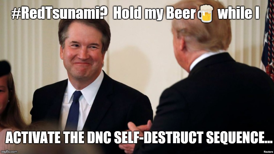 #RedTsunami? Hold my Beer  | #RedTsunami?  Hold my Beer🍺 while I; ACTIVATE THE DNC SELF-DESTRUCT SEQUENCE... | image tagged in brett kavanaugh,hold my beer,dnc,destruction,captain america,justice league | made w/ Imgflip meme maker