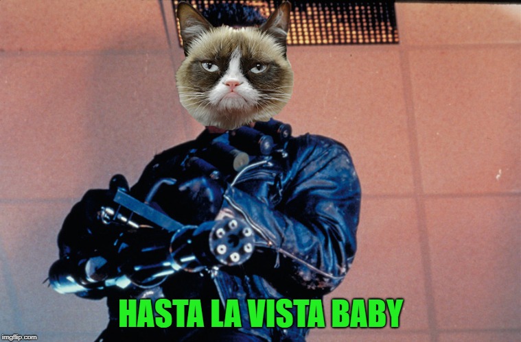 HASTA LA VISTA BABY | made w/ Imgflip meme maker