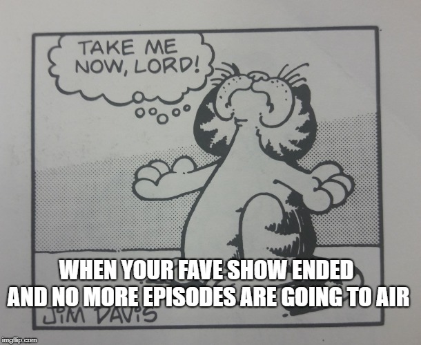 WHEN YOUR FAVE SHOW ENDED AND NO MORE EPISODES ARE GOING TO AIR | image tagged in garfield | made w/ Imgflip meme maker