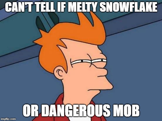Democrat Definition | CAN'T TELL IF MELTY SNOWFLAKE; OR DANGEROUS MOB | image tagged in memes,futurama fry,democrats,angry mob,snowflake,shouting | made w/ Imgflip meme maker