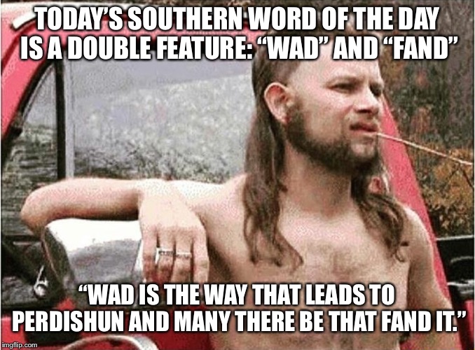 Redneck | TODAY’S SOUTHERN WORD OF THE DAY IS A DOUBLE FEATURE: “WAD” AND “FAND”; “WAD IS THE WAY THAT LEADS TO PERDISHUN AND MANY THERE BE THAT FAND IT.” | image tagged in redneck | made w/ Imgflip meme maker