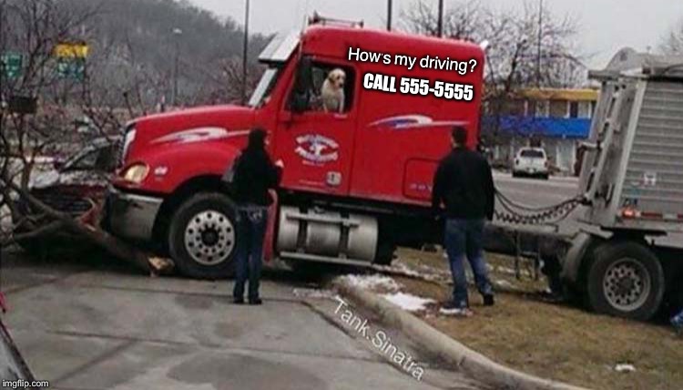 I had to avoid a stupid cat. | How's my driving? CALL 555-5555 | image tagged in truck driver,dog,memes,funny | made w/ Imgflip meme maker