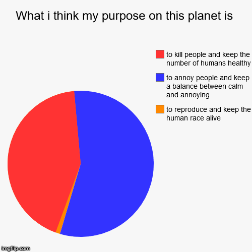 What i think my purpose on this planet is | to reproduce and keep the human race alive, to annoy people and keep a balance between calm and  | image tagged in funny,pie charts | made w/ Imgflip chart maker