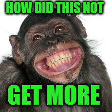 Grinning Chimp | HOW DID THIS NOT GET MORE | image tagged in grinning chimp | made w/ Imgflip meme maker