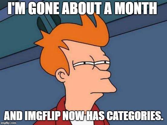Futurama Fry Meme | I'M GONE ABOUT A MONTH; AND IMGFLIP NOW HAS CATEGORIES. | image tagged in memes,futurama fry | made w/ Imgflip meme maker
