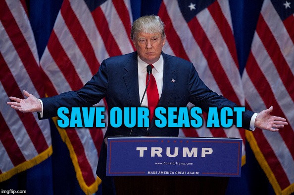 Donald Trump | SAVE OUR SEAS ACT | image tagged in donald trump | made w/ Imgflip meme maker