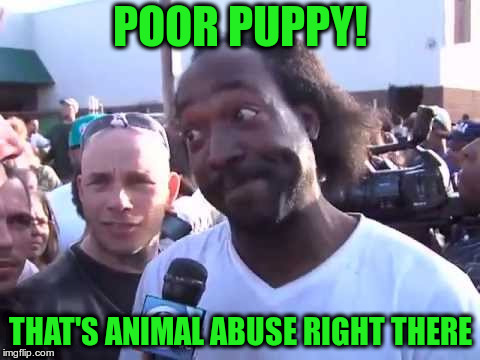 POOR PUPPY! THAT'S ANIMAL ABUSE RIGHT THERE | image tagged in how you go'n' | made w/ Imgflip meme maker