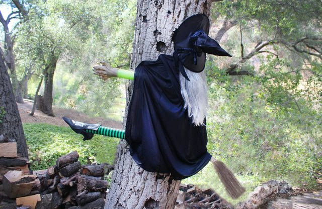 witch hits tree Blank Meme Template