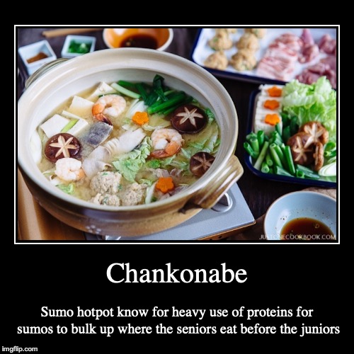 Chankonabe | image tagged in demotivationals,hotpot,japan | made w/ Imgflip demotivational maker