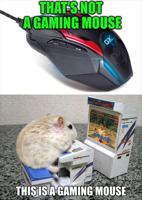 Gaming mouse | THAT'S NOT A GAMING MOUSE | image tagged in memes,gaming,mouse,gamer,funny meme,humor memes | made w/ Imgflip meme maker