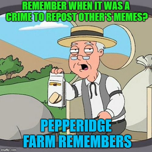 Pepperidge Farm Remembers Meme | REMEMBER WHEN IT WAS A CRIME TO REPOST OTHER'S MEMES? PEPPERIDGE FARM REMEMBERS | image tagged in memes,pepperidge farm remembers | made w/ Imgflip meme maker
