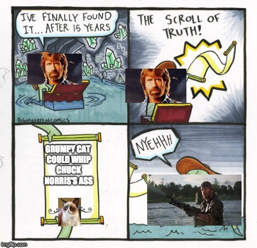 chuck norris scroll of truth
 | image tagged in memes,funny,chuck norris,grumpy cat,the scroll of truth | made w/ Imgflip meme maker