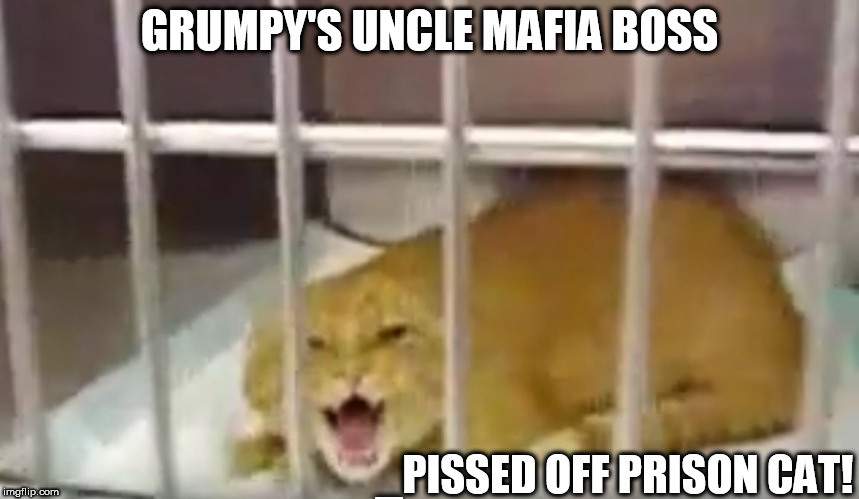GRUMPY'S UNCLE MAFIA BOSS _PISSED OFF PRISON CAT! | made w/ Imgflip meme maker