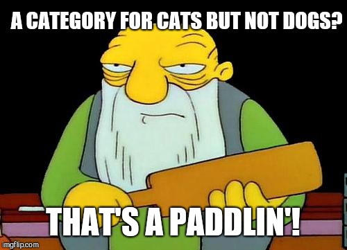 That's a paddlin' Meme | A CATEGORY FOR CATS BUT NOT DOGS? THAT'S A PADDLIN'! | image tagged in memes,that's a paddlin' | made w/ Imgflip meme maker