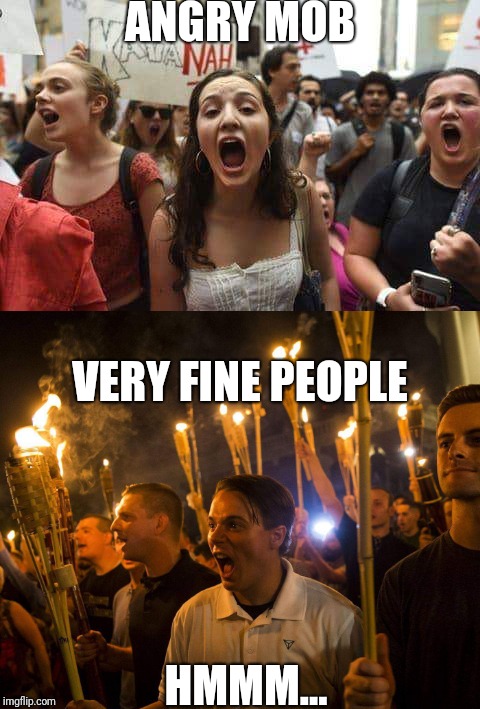 Protest is American as Apple Pie | ANGRY MOB; VERY FINE PEOPLE; HMMM... | image tagged in metoo,lying politician,identity politics,protesting | made w/ Imgflip meme maker