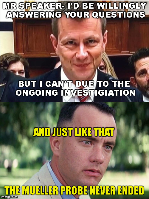 Down the Rabbit Hole | MR SPEAKER- I'D BE
WILLINGLY ANSWERING YOUR QUESTIONS; BUT I CAN'T DUE TO
THE ONGOING INVESTIGIATION; AND JUST LIKE THAT; THE MUELLER PROBE NEVER ENDED | image tagged in memes,and just like that,fbi,peter strzok,robert mueller | made w/ Imgflip meme maker