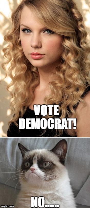 Grumpy Cat on Taylor Swift as NYC's  Global Welcome Ambassador | VOTE DEMOCRAT! NO...... | image tagged in grumpy cat on taylor swift as nyc's  global welcome ambassador | made w/ Imgflip meme maker