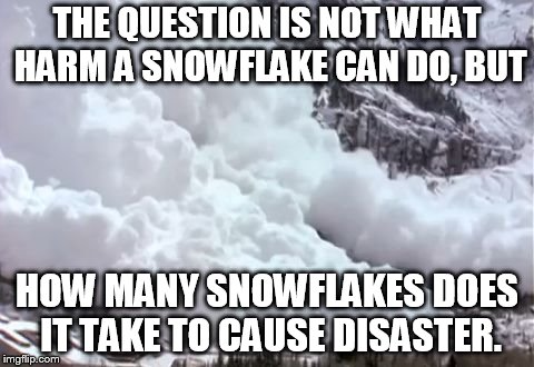 Avalanche | THE QUESTION IS NOT WHAT HARM A SNOWFLAKE CAN DO, BUT; HOW MANY SNOWFLAKES DOES IT TAKE TO CAUSE DISASTER. | image tagged in avalanche | made w/ Imgflip meme maker